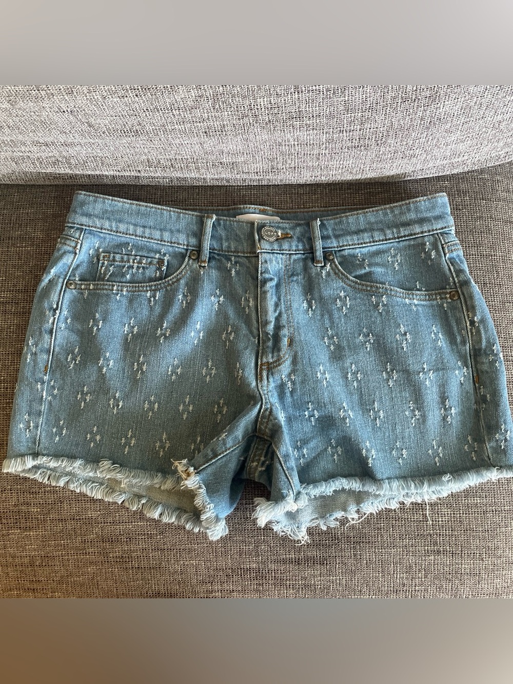 LOFT Women's Light Blue Shorts